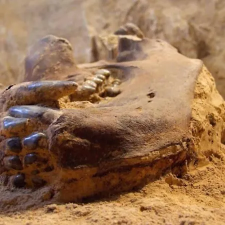 Tipico Rustico Toscano Vicino Alle Cinque Terre