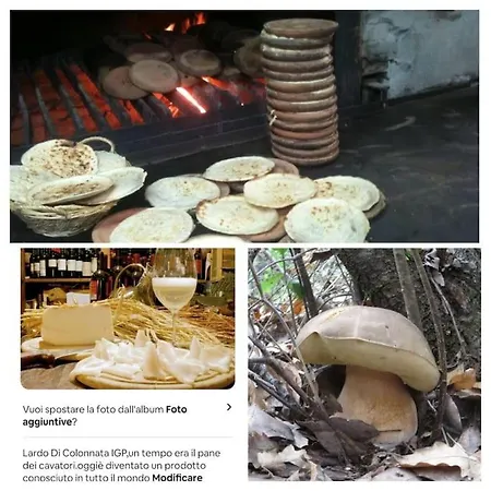 Tipico Rustico Toscano Vicino Alle Cinque Terre *